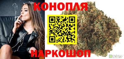 spice Моздок