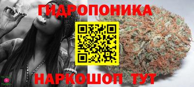 spice Мариинск