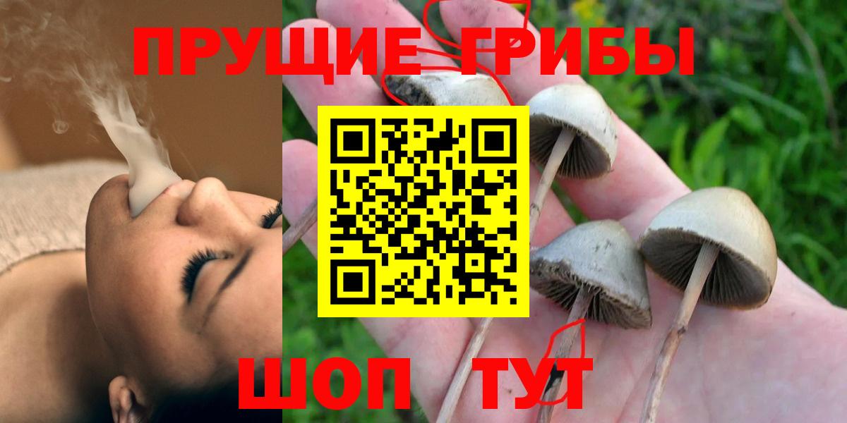 Кемерово  наркотики  Вход с VPN  Галлюциногенные грибы Magic Shrooms 